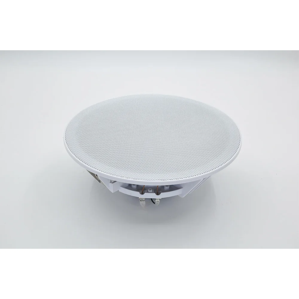 20W Ceiling Speaker Stereo 8 i - Audio Music In Background reseña y precio