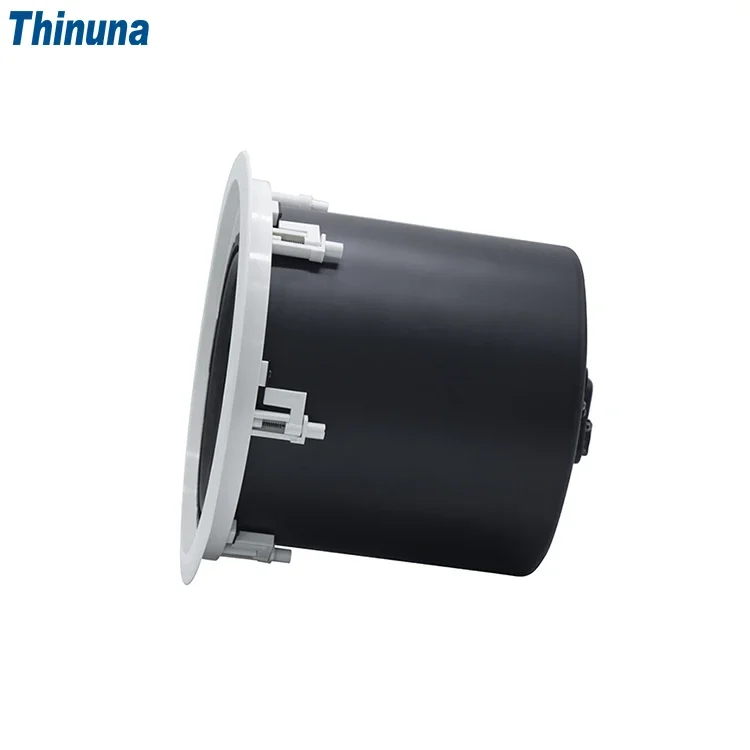 2025 Thinuna MS-10SUB-L II Hom - Audio Music In Background reseña y precio