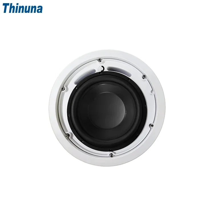 2025 Thinuna MS-10SUB-L II Hom - Audio Music In Background reseña y precio
