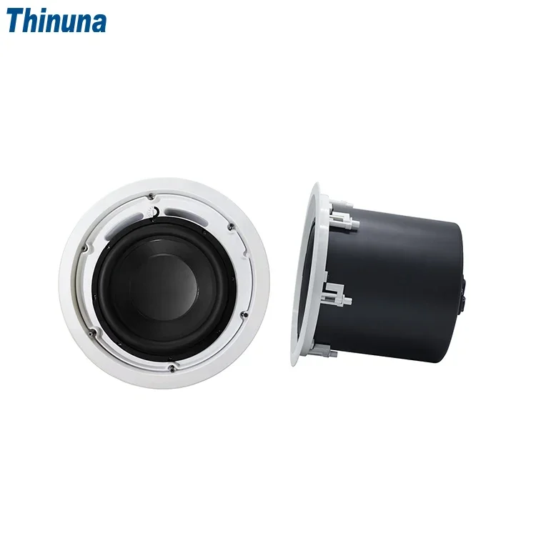 2025 Thinuna MS-10SUB-L II Hom - Audio Music In Background reseña y precio