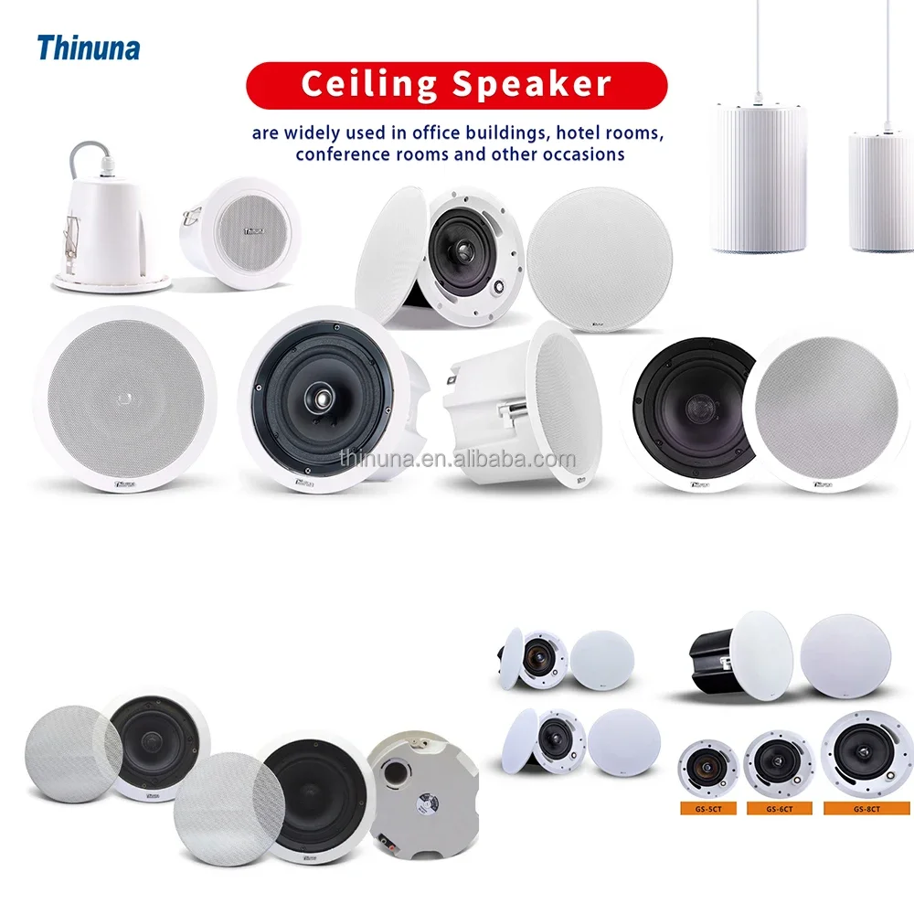 2025 Thinuna MS-10SUB-L II Hom - Audio Music In Background reseña y precio