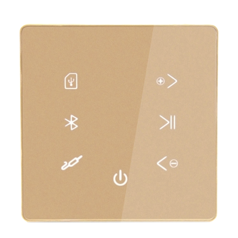 M85K Bluetooth Amplifier in Wa - Audio Music In Background reseña y precio