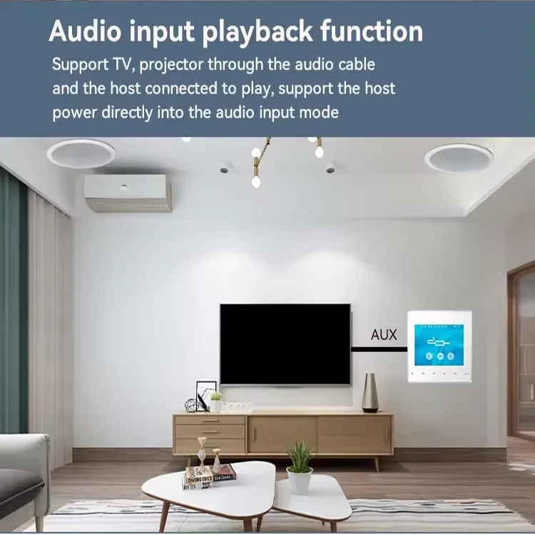 Home Bluetooth Wall Amplifier  - Audio Music In Background reseña y precio