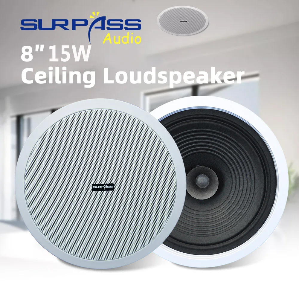Home Audio Sound System 8inch  - Audio Music In Background reseña y precio