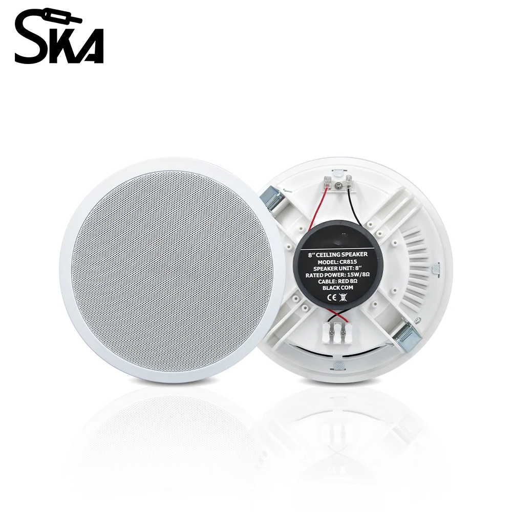 PW4420T+CR815 Smart Home Audio - Audio Music In Background reseña y precio
