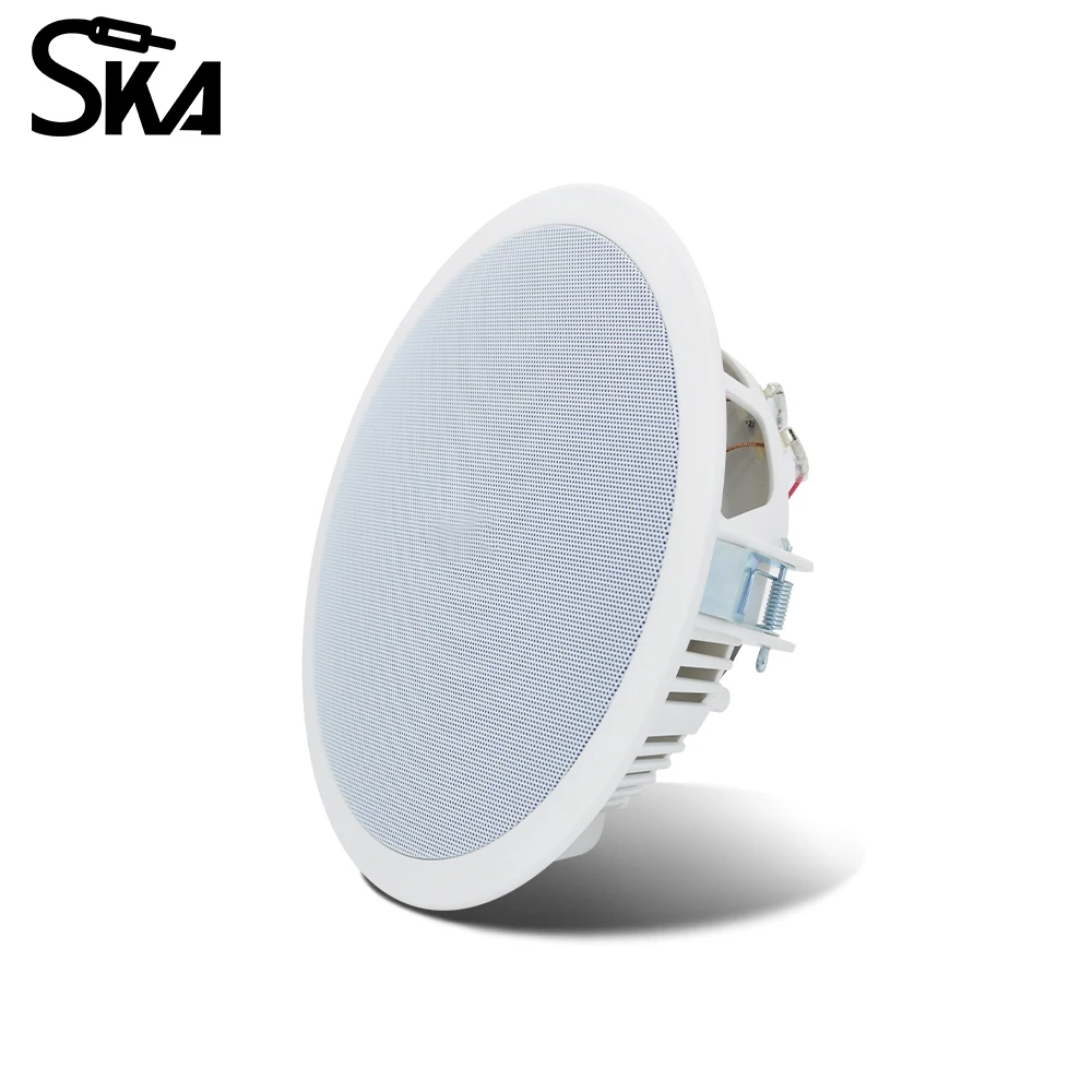 PW4420T+CR815 Smart Home Audio - Audio Music In Background reseña y precio