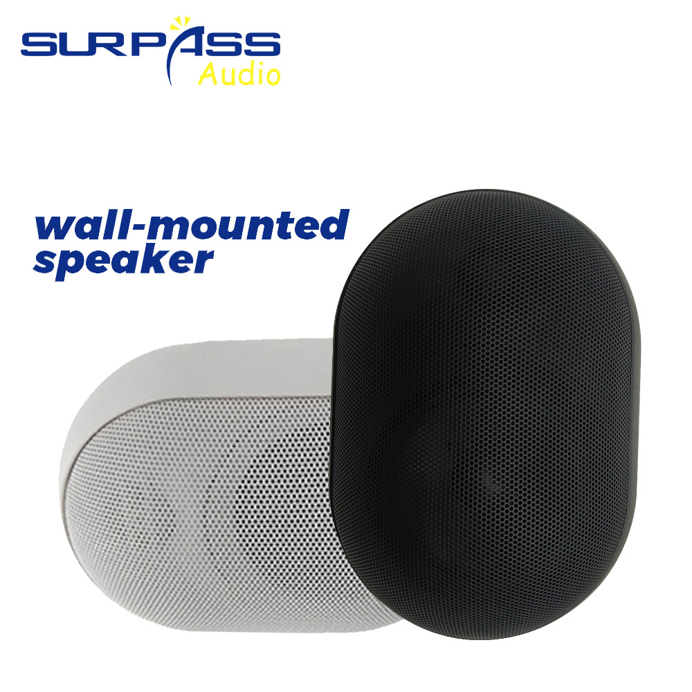 30W Wall-mounted Speaker Water - Audio Music In Background reseña y precio