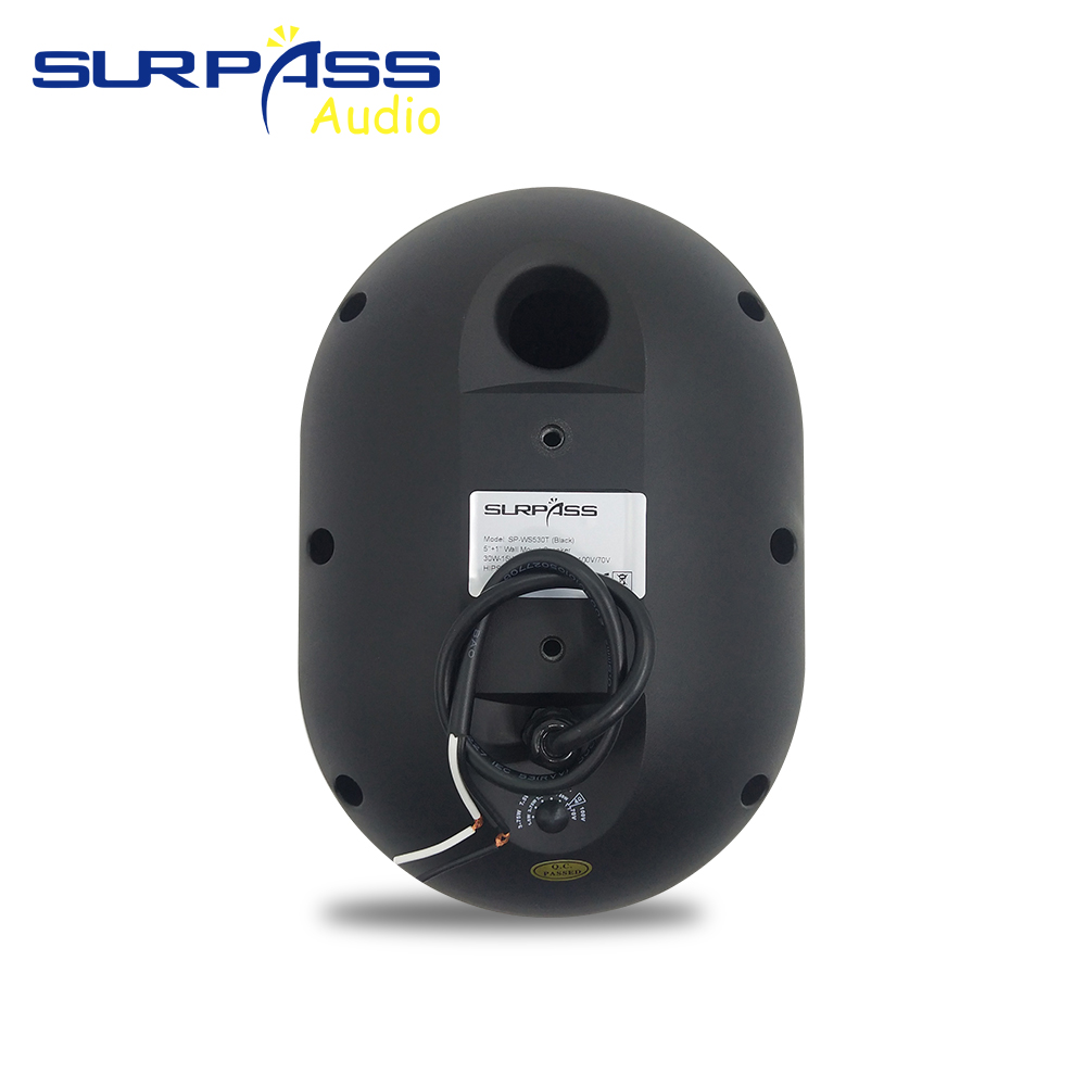30W Wall-mounted Speaker Water - Audio Music In Background reseña y precio