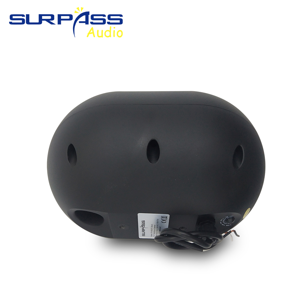 30W Wall-mounted Speaker Water - Audio Music In Background reseña y precio