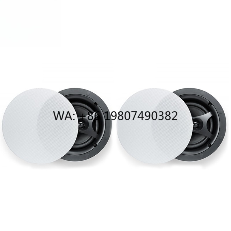BLE Wireless Ceiling Speaker,  - Audio Music Link reseña y precio