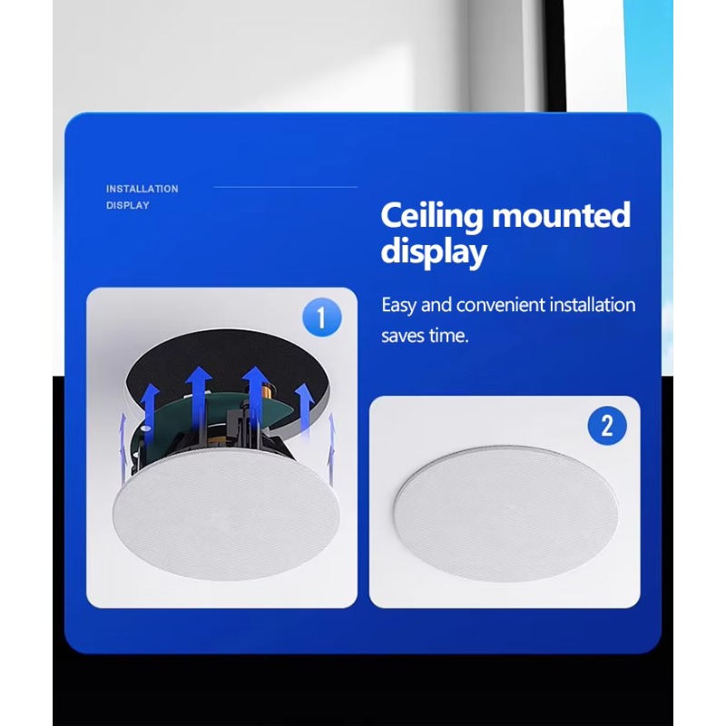 BLE Wireless Ceiling Speaker,  - Audio Music Link reseña y precio