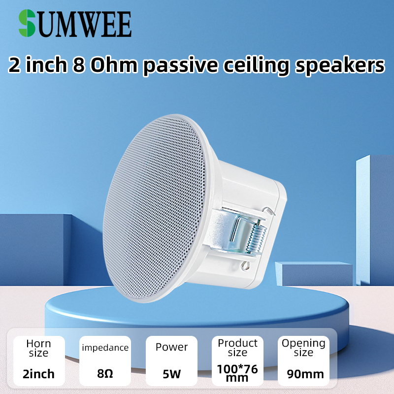 2Inch mini 8 ohm Ceiling Speak - Audio Music In Background reseña y precio