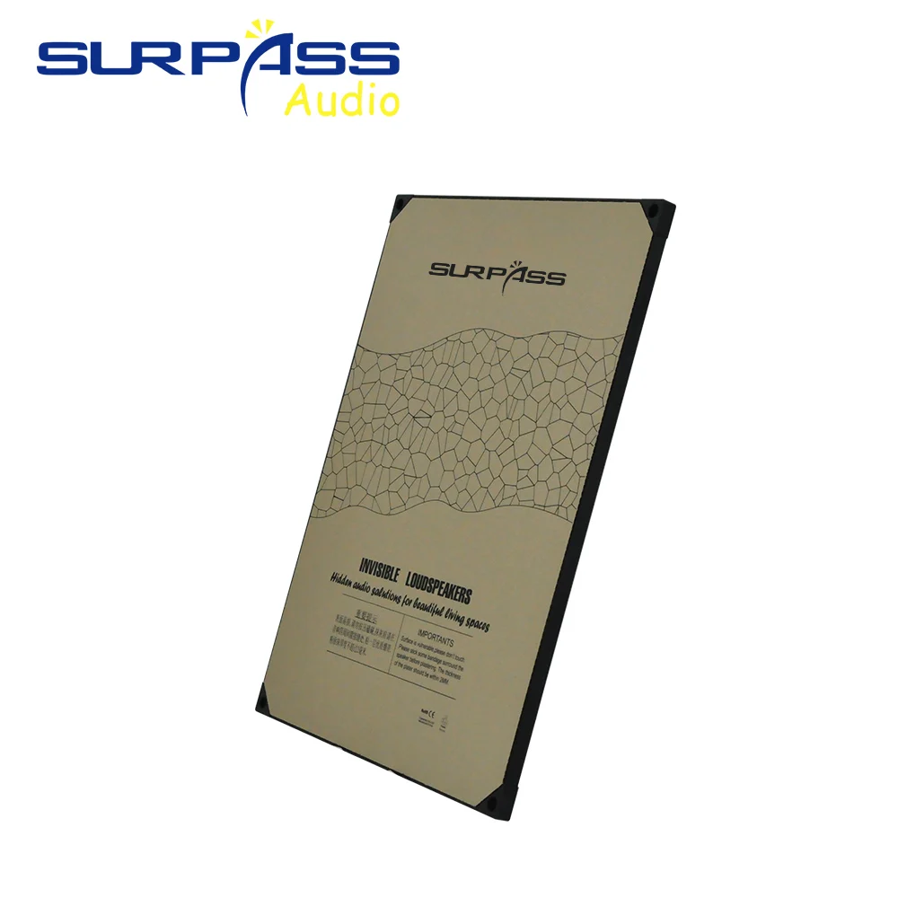 20W Invisible Indoor Speaker R - Audio Music In Background reseña y precio